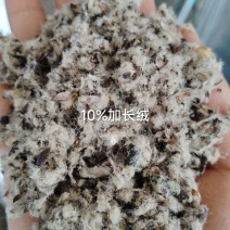 新疆优质棉籽壳年前囤货联系