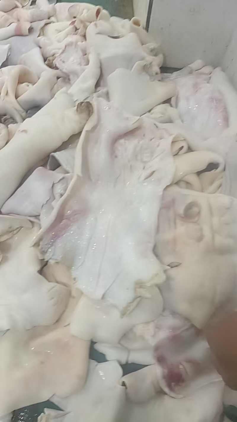 水退牛腿皮