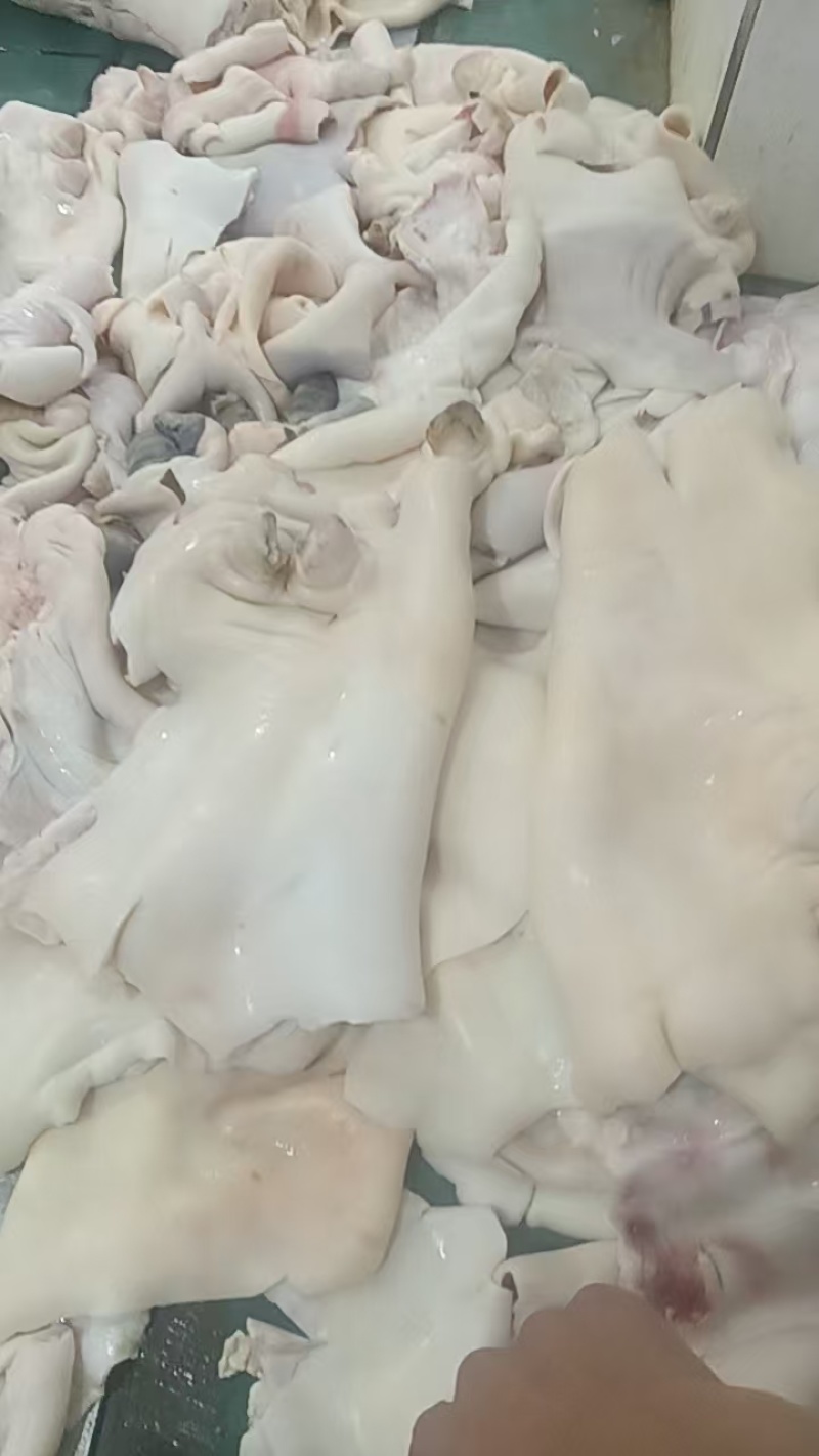 水退牛腿皮