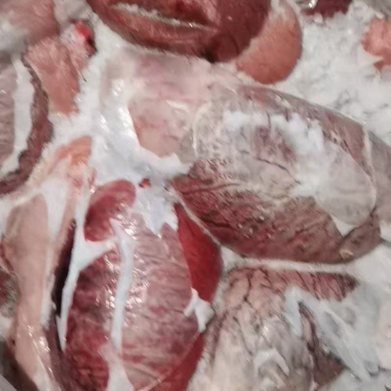大号猪蛋