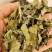桑叶干货人工种植农家自然晾晒量大从优