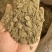 黑胡椒粉