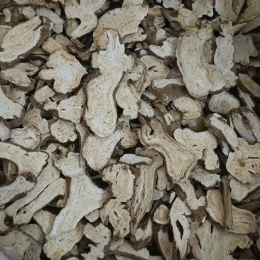 白术中药材优质生白术麸炒白术实物实拍