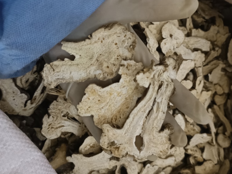 白术中药材优质生白术麸炒白术实物实拍