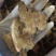 白术中药材优质生白术麸炒白术实物实拍
