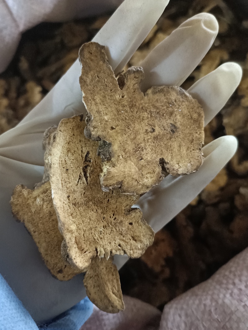 白术中药材优质生白术麸炒白术实物实拍