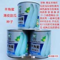卡其牌羊角蜜薄皮甜瓜种子酥脆香甜羊角蜜羊角酥羊角脆香瓜种