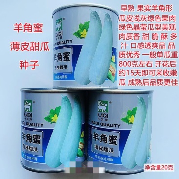 卡其牌羊角蜜薄皮甜瓜种子酥脆香甜羊角蜜羊角酥羊角脆香瓜种