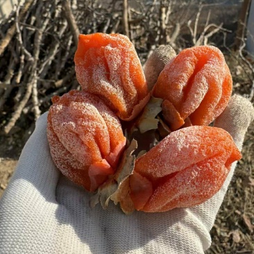 富平柿饼