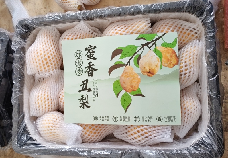 【社区团购供货】冰激凌蜜香丑梨非中华丑梨香甜软糯整车直发