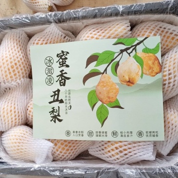 【社区团购供货】冰激凌蜜香丑梨非中华丑梨香甜软糯整车直发