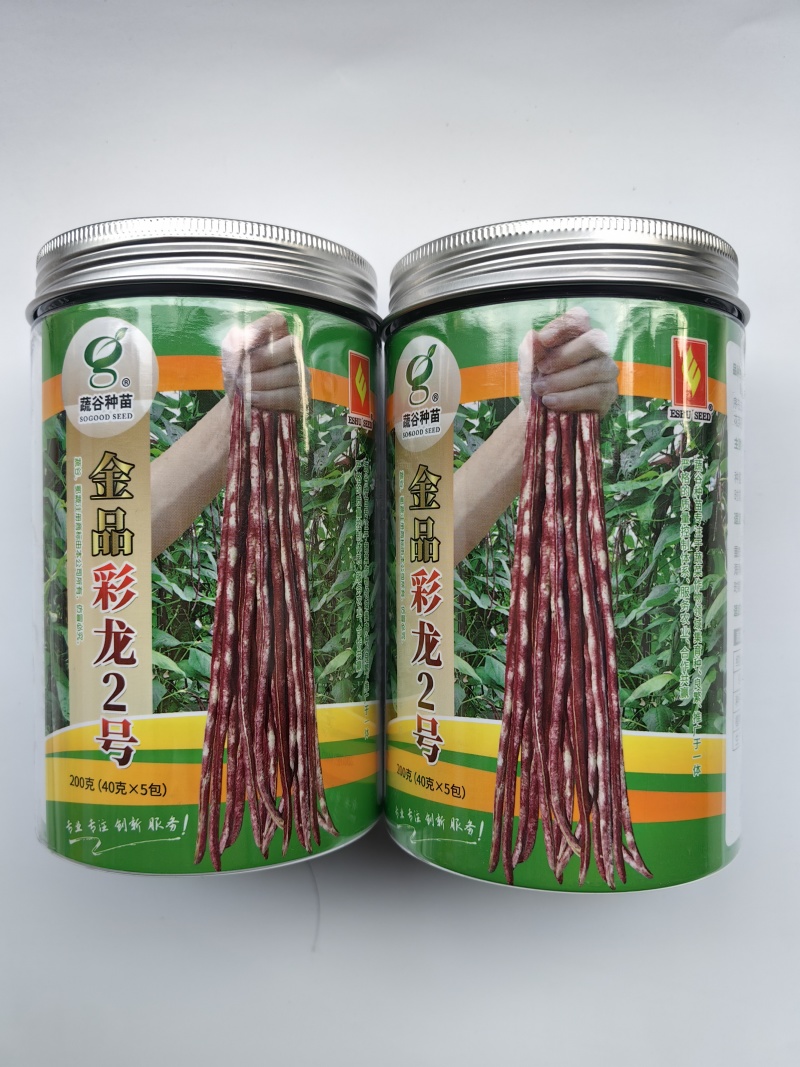 彩龙2号红豇豆种子加长紫红长豇豆紫红豆角春夏秋紫架豆种子