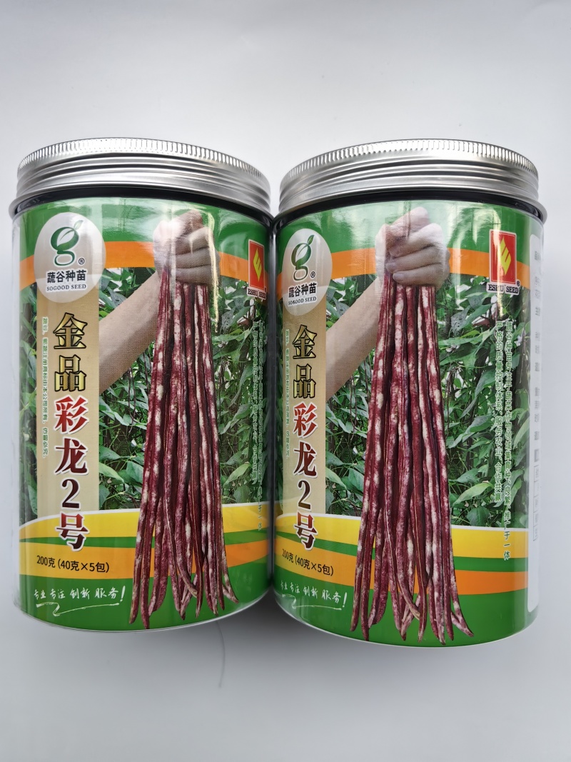 彩龙2号红豇豆种子加长紫红长豇豆紫红豆角春夏秋紫架豆种子