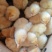 三黄鸡苗，厂家直销，货源稳定，品质保证