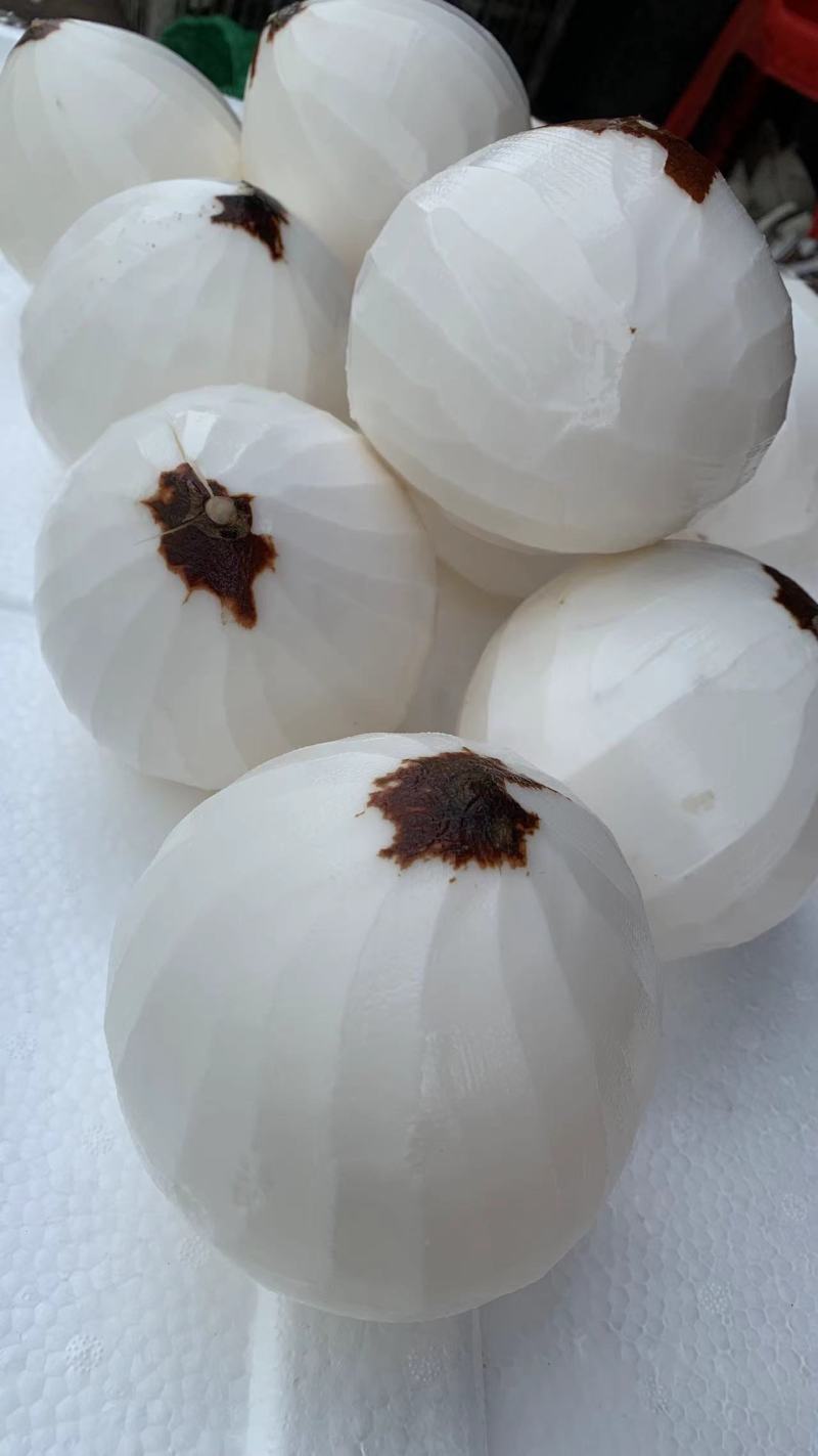 椰子肉，冬天火锅鸡，夏天椰子汁，欢迎订购