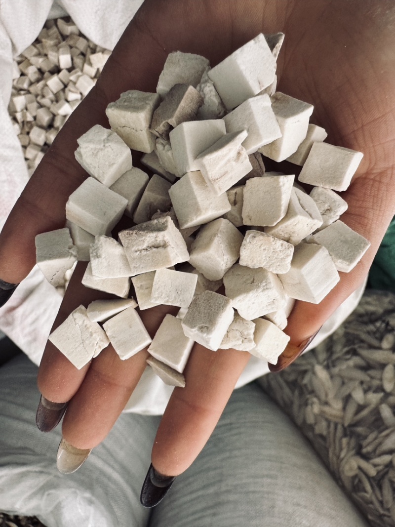 茯苓