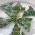 包邮【蜜枣粽子】白米粽，肉粽，5斤装，荤素搭配