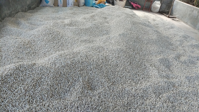 茯苓丁保质保量假一赔十精品茯苓丁欢迎致电咨询下单