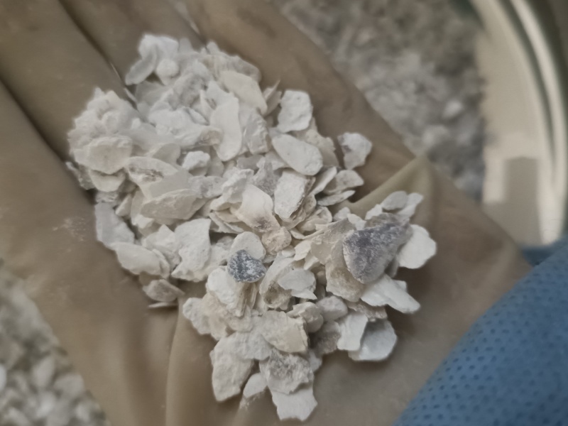 牡蛎中药材牡蛎壳无硫无添加实物实拍