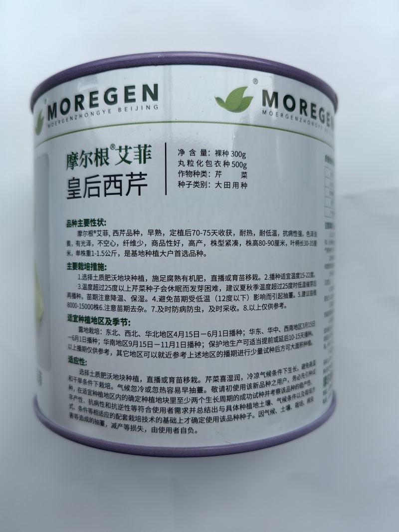 丸粒化西芹种子皇后西芹种籽单粒播种包衣种四季耐热芹菜种子