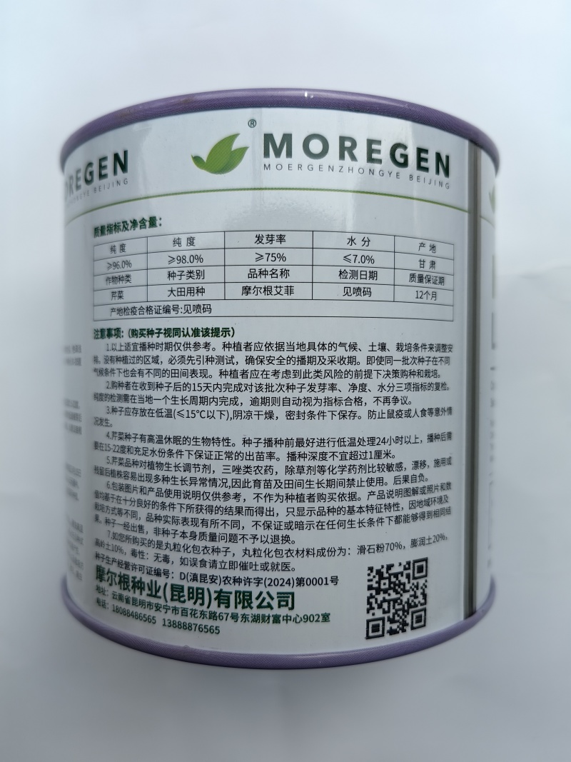 丸粒化西芹种子皇后西芹种籽单粒播种包衣种四季耐热芹菜种子
