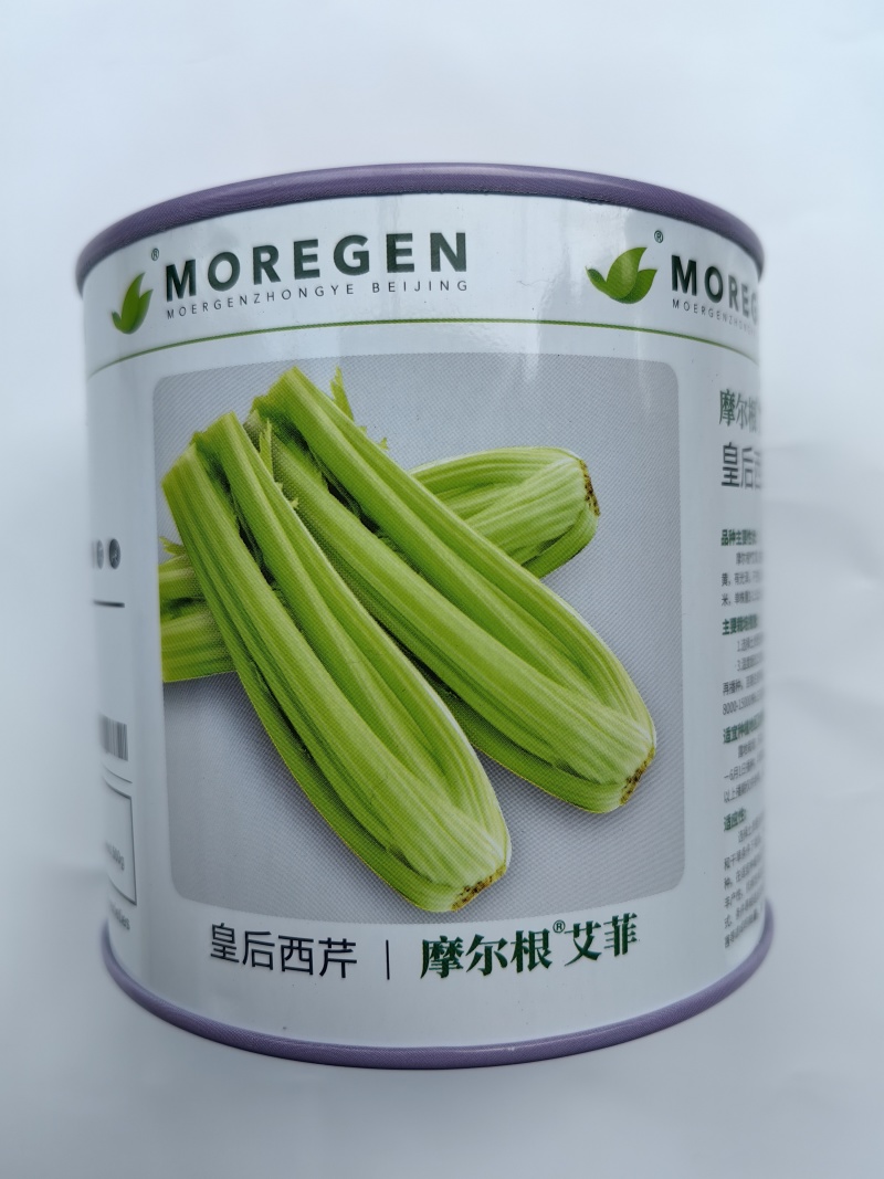 丸粒化西芹种子皇后西芹种籽单粒播种包衣种四季耐热芹菜种子