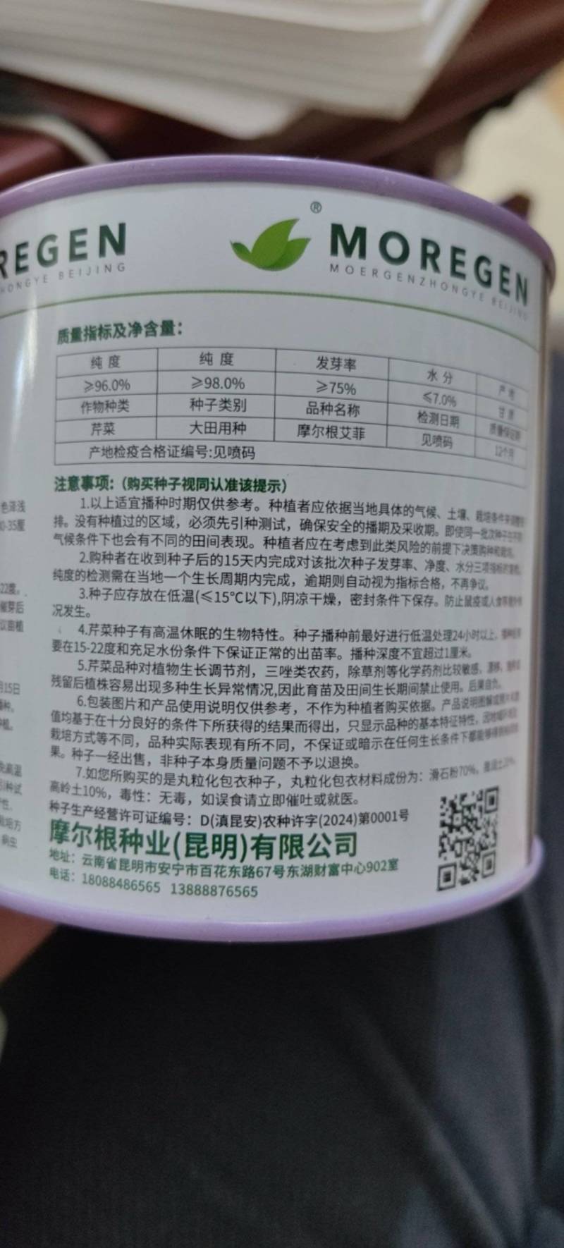 丸粒化西芹种子皇后西芹种籽单粒播种包衣种四季耐热芹菜种子