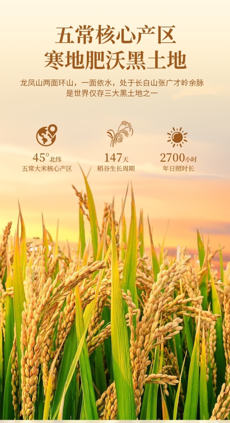 五常大米长粒香源产地直发优质一等货源充足包邮