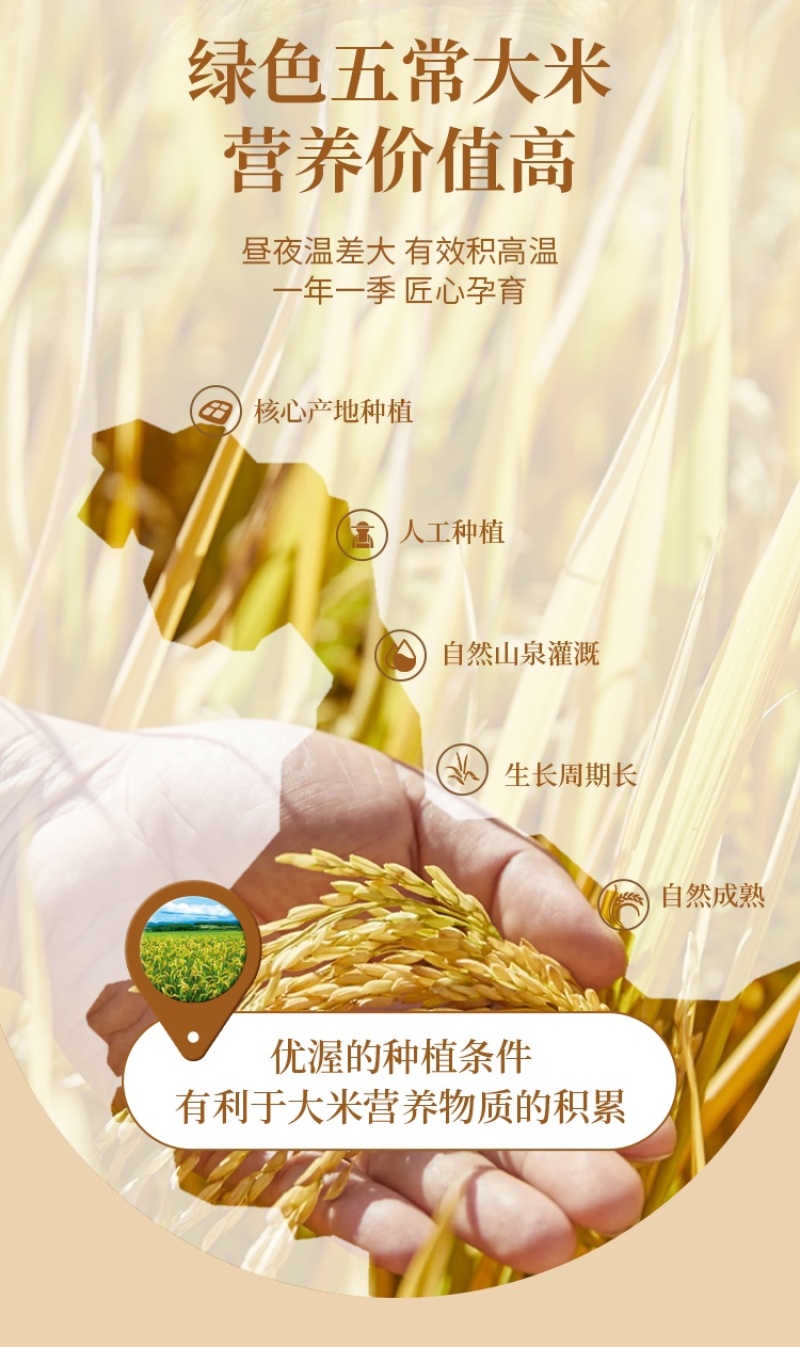 五常大米长粒香源产地直发优质一等货源充足包邮