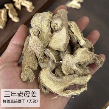 中药材柴姜三年老母姜