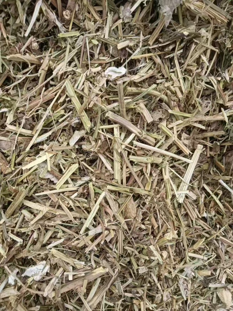 【推荐】安徽花生秧诚信经营量大无杂质品质保证全国供应