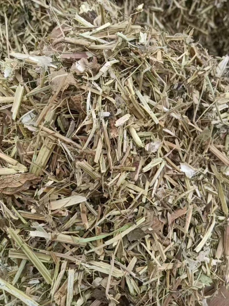 【推荐】安徽花生秧诚信经营量大无杂质品质保证全国供应