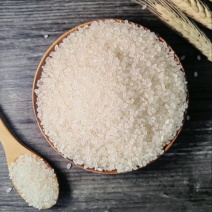 【优选】东北珍珠米颗粒饱满碎米率5%以下15个水