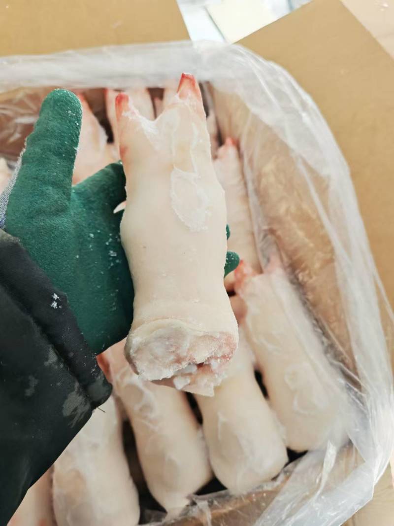 一级带筋猪蹄厂家直销量大从优
