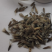 海石竹种子粉红色桃花钗滨籫花籽耐寒可切花庭院阳台花坛盆栽