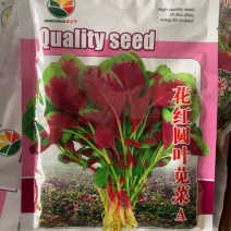 花红园叶苋菜