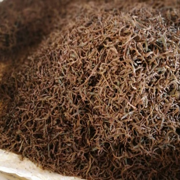 云南古树红茶产地直发口感好价格从优质量保证欢迎选购