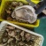 生蚝肉批发