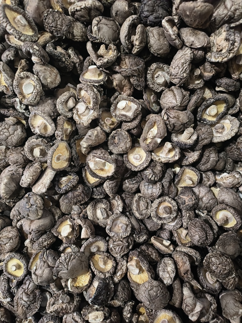 源头厂货一件代发2.0迷你珍珠菇干香菇系列