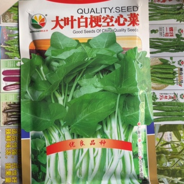 大叶红心菜白梗