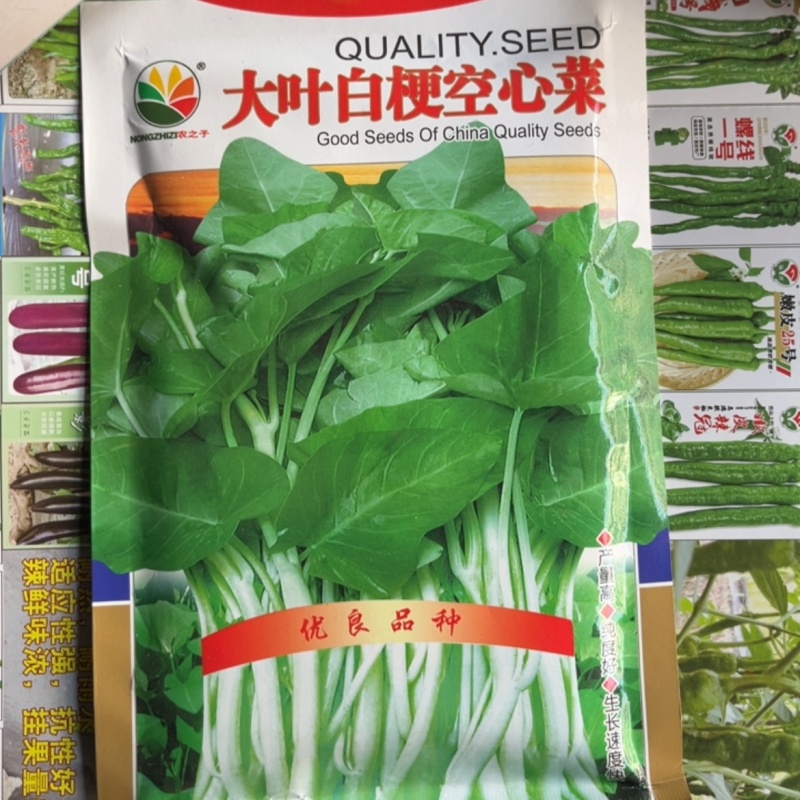 大叶红心菜白梗