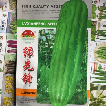 绿先锋青苦瓜