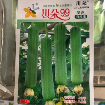 川朵99肉丝瓜，