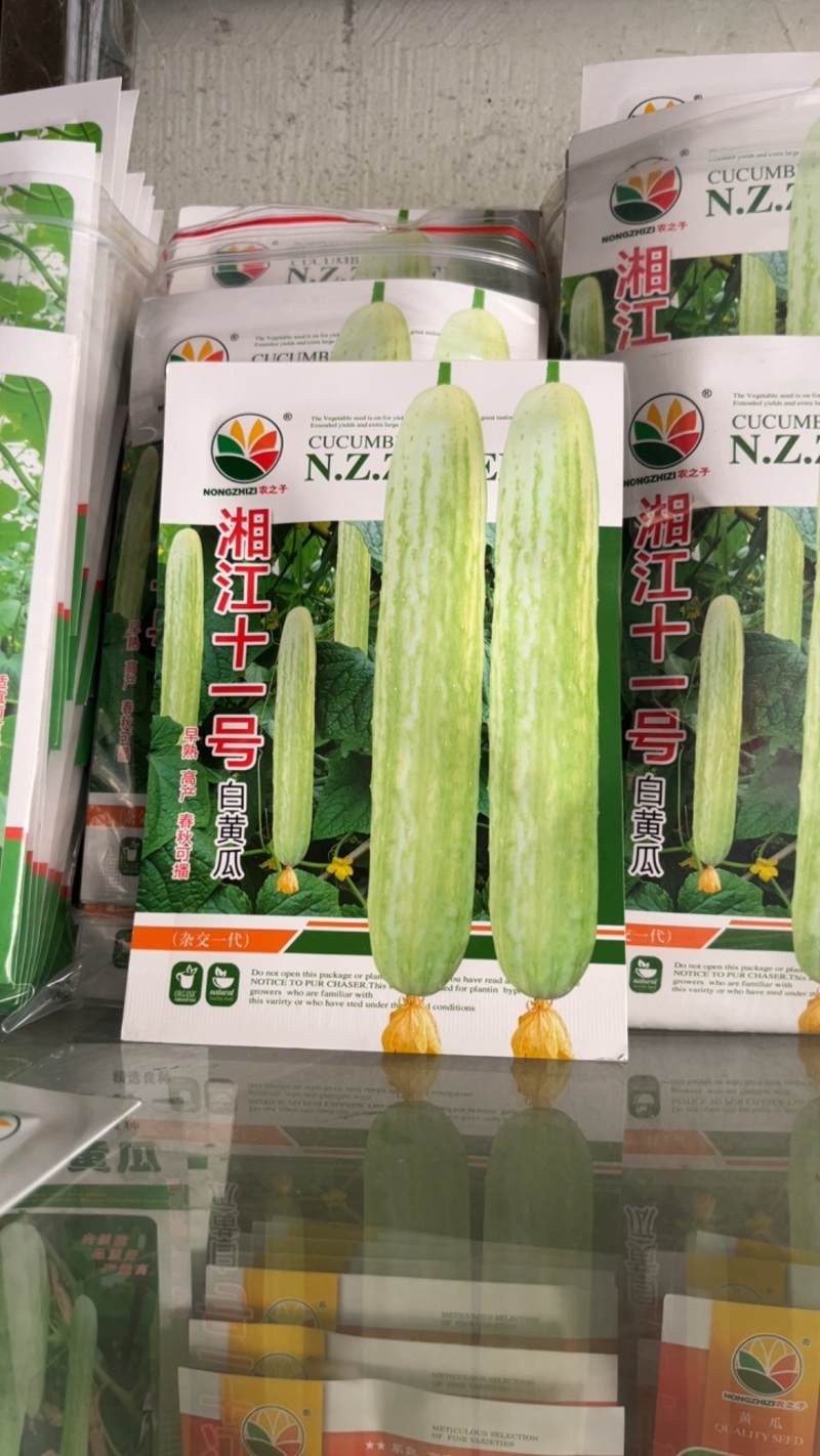 湘江十一号白黄瓜早熟高产春秋可摘