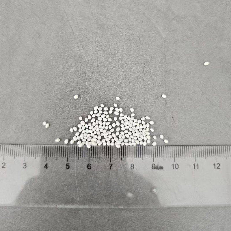 丸粒化小香芹种子速生耐热包衣丸粒小芹菜香芹种子籽孑四季