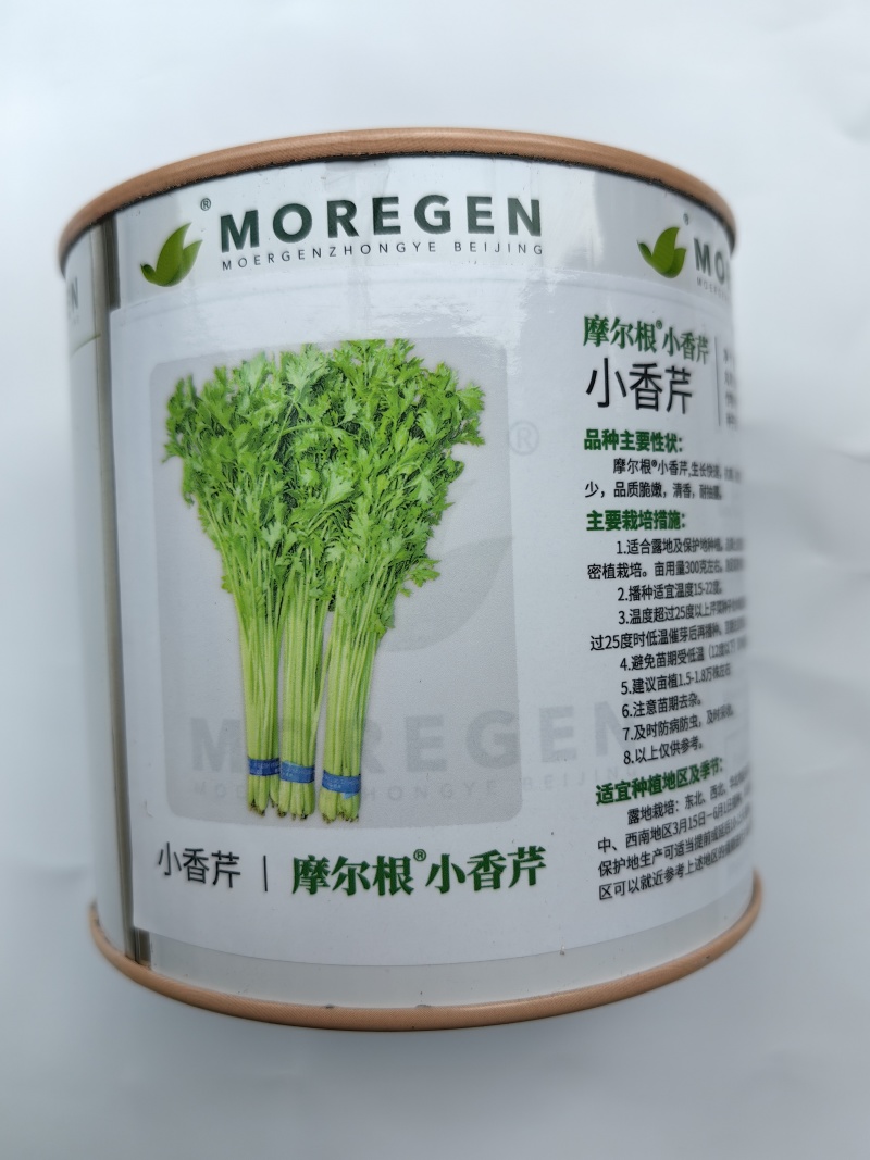 丸粒化小香芹种子速生耐热包衣丸粒小芹菜香芹种子籽孑四季