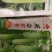 燕白节节瓜水果黄瓜早熟品种