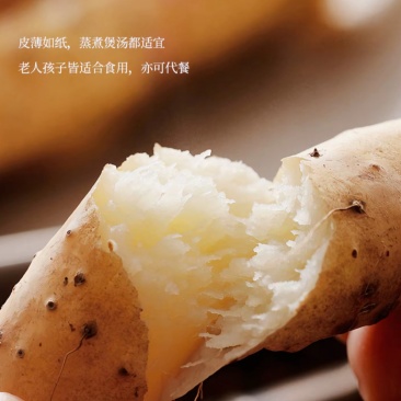 正宗河北蠡县麻山药,产地直发全国直发快来购买