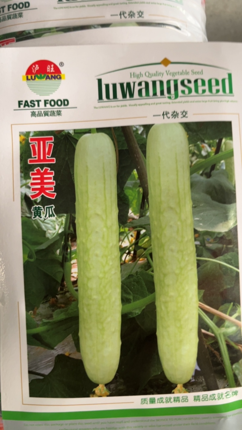 一代杂交白黄瓜亚美早熟丰产抗病好吃超超甜