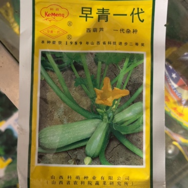 早青一代杂交西葫芦早熟